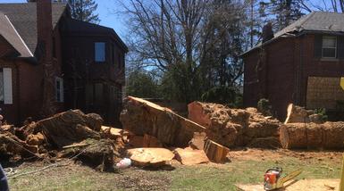Storm Damage Clean Up Dundas, Ontario, Hamilton tree services