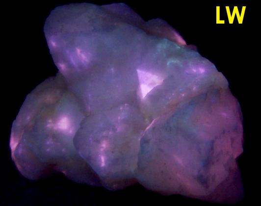 fluorescent phosphorescent Terlingua CALCITE, Terlingua, Terlingua Mining District, Brewster County, Texas, USA - ex Richard Eisenman "Highland Rocks"
