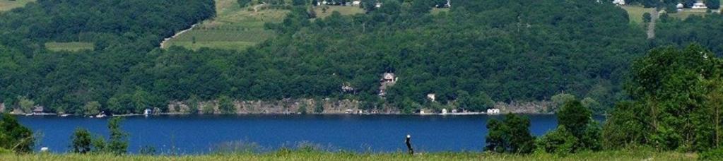 alt="Seneca Lake Hillside "