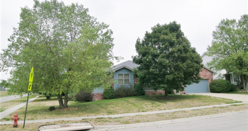 Before tree trimming, tree elevation, and bush removal in Omaha NE