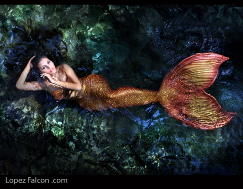 QUINCES MERMAID PHOTO SHOOT MIAMI FL USA