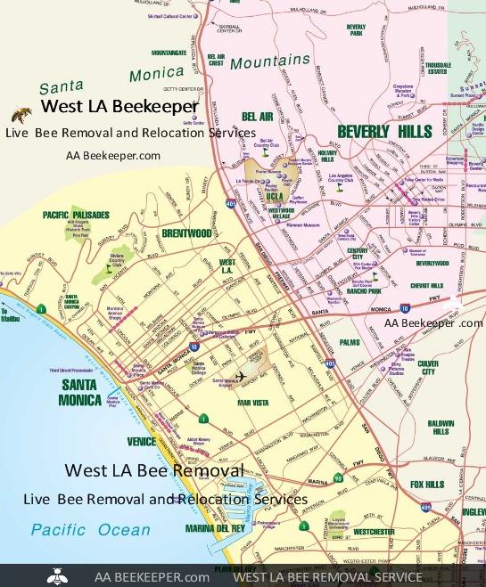 West LA Bee Removal Area