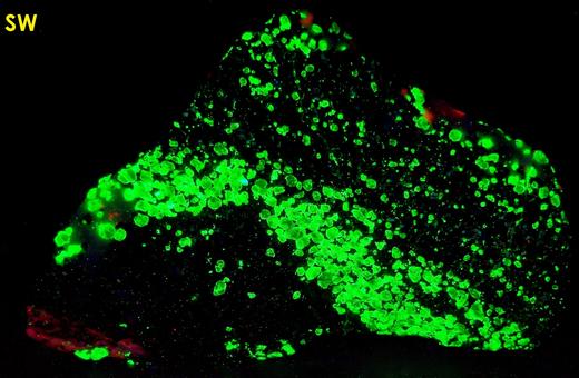 fluorescent WILLEMITE, ZINCITE, FRANKLINITE, Sterling Mine, Sterling Hill, Ogdensburg, Franklin Mining District, Sussex County, New Jersey, USA