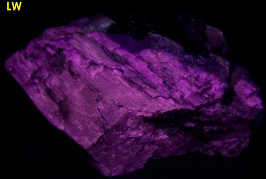 fluorescent AGRELLITE, PECTOLITE, EUDIALYTE, AMPHIBOLE, thorium salts, Kipawa alkaline complex, Les Lacs-du-Temiscamingue, Temiscamingue RCM, Abitibi-Temiscamingue, Quebec, Canada - ex Borden