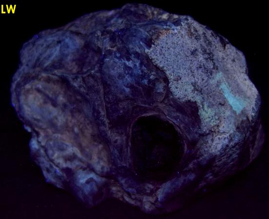 APACHE TEARS OBSIDIAN in perlite - Apache Tears locality, Picketpost Mountain area, Superior, Pinal County, Arizona, USA