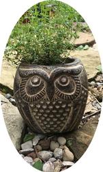 Rustic Pottery Tonala Mini Owl Planter