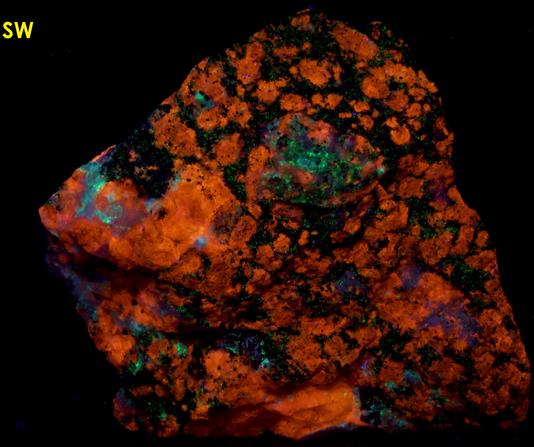 STEENSTRUPINE with fluorescing tenebrescent SODALITE, AEGIRINE ACMITE - Taseq Slope (Tasseq Slope, Taseq area), Ilímaussaq complex, Narsaq, Kujalleq (Kitaa Province - West Greenland), Greenland, Denmark - ex Tom Pankratz