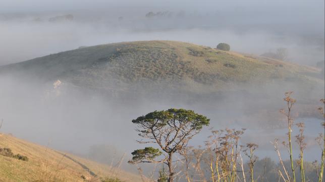 Coyote Hills