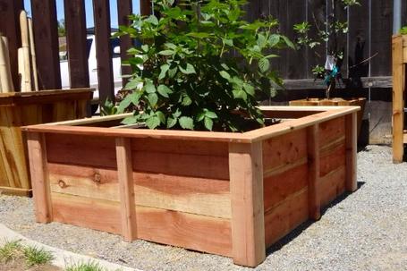 4'x4'x2' Redwood planter