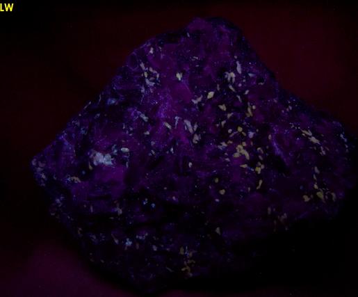 fluorescent WOLLASTONITE, GARNET, PYRITE, DIOPSIDE, black CALCITE - Sterling Mine, Sterling Hill, Ogdensburg, Franklin Mining District, Sussex County, New Jersey, USA
