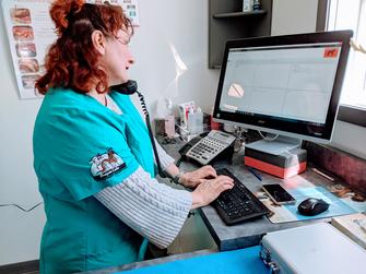 Dr. Ginger Langan hard at work tele-conferencing