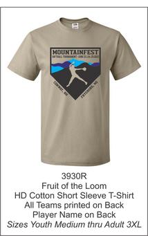 Mountainfest Softball Tournament