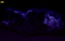 fluorescing FLUORITE, CALCITE, PYRITE with MUSCOVITE - Thomaston Dam railroad cut, Thomaston, Litchfield County, Connecticut, USA