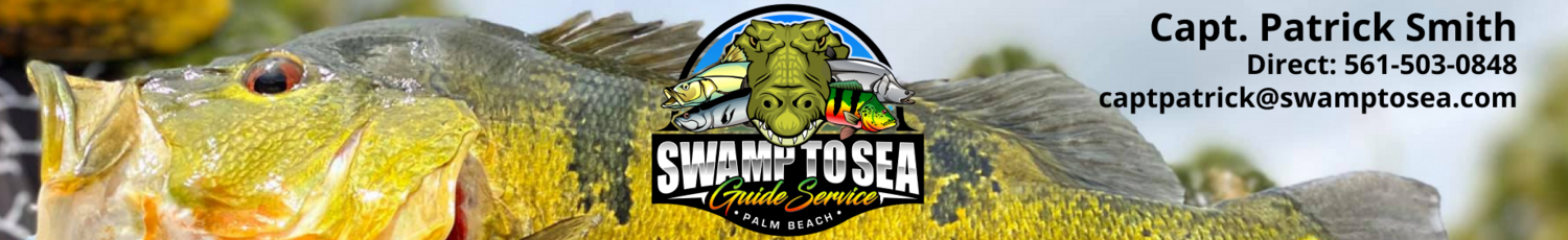 florida saltwater fishing trips