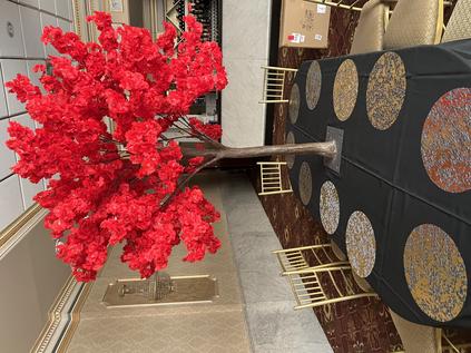 red cherry blossom trees for rent
