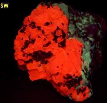 fluorescent BARYTE, CALCITE, ANDRADITE - Franklin Mine, Franklin, Franklin Mining District, Sussex County, New Jersey, USA - ex Borden, ex Morris Museum