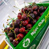 Cherry Mỹ