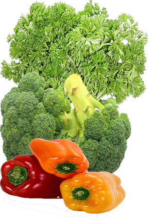 Vitamin C – Ascorbic Acid (Water-Soluble)