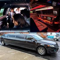 Concert Limo