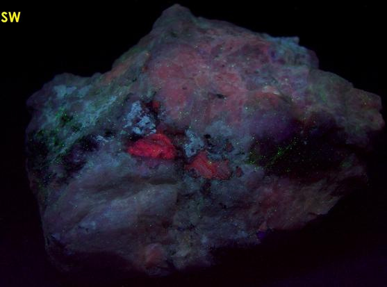 tenebrescent fluorescent SODALITE HACKMANITE - Dungannon Township, Hasting County, Ontario, Canada - ex Franklin MiningMuseum, J.Baum