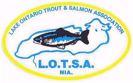 lake ontario trout and salmon association