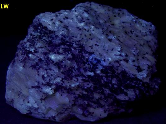 WOLLASTONITE crystals, DIOPSIDE, ANDRADITE GROSSULAR GARNET - Lewis Mine (Cabot Corporation Mine, Lewis NYCO mine), Willsboro, Essex County, New York, USA - ex Rutgers Geology Museum