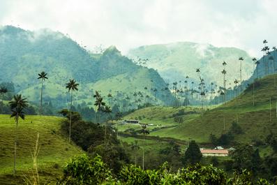 Type approval in Colombia