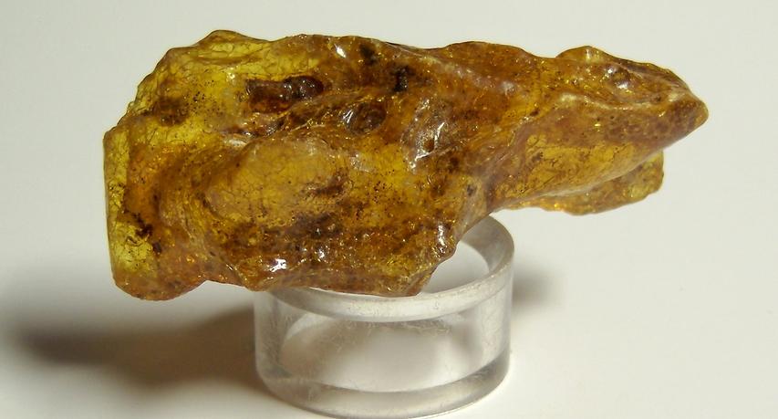 Fluorescent golden AMBER - Dominican Republic, ex Sue MacInnis - for sale
