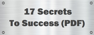 17 Secrets To Success (PDF)