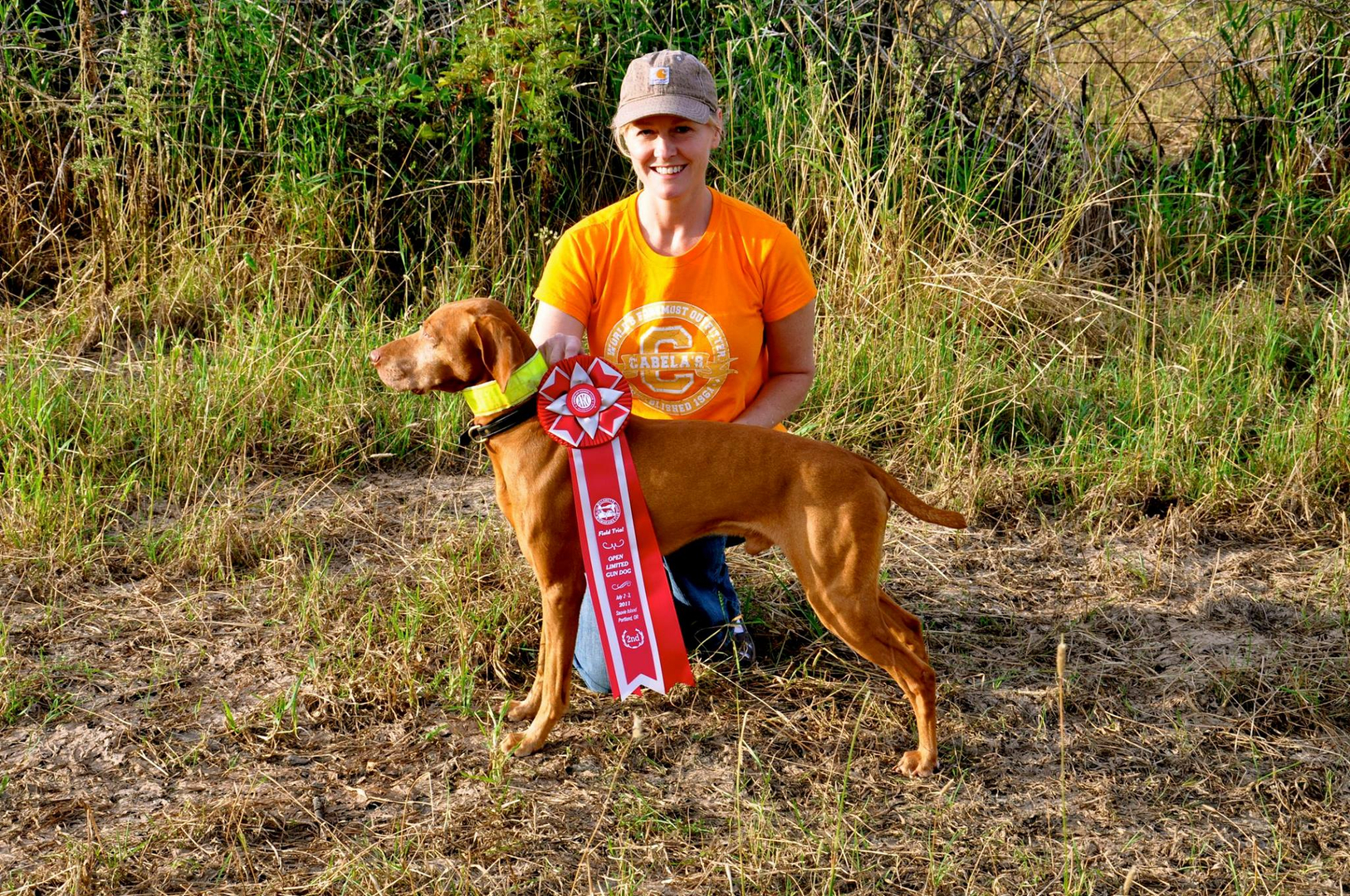 Stud Service Californina Vizslas Puppies Cazador Vizslas