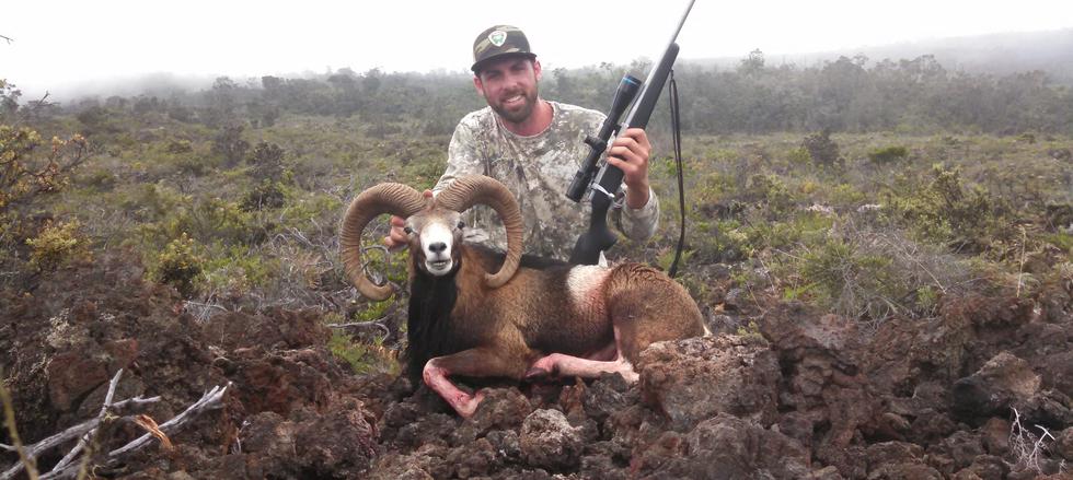 High Country Mouflon Sheep Hunt in Hawaii