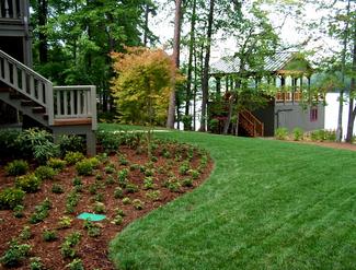 Maintained lawn in North Georgia.