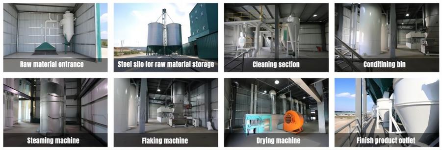 precooked maize mill processing flow