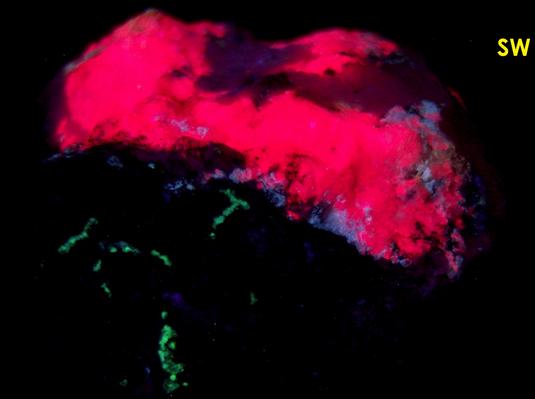 fluorescent TUGTUPITE with AEGIRINE - Ilimaussaq complex, Narsaq, Kujalleq (Kitaa Province - West Greenland), Greenland, Denmark - type locality