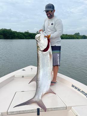 Puerto Rico Tarpon Fishing, Bait & Lure