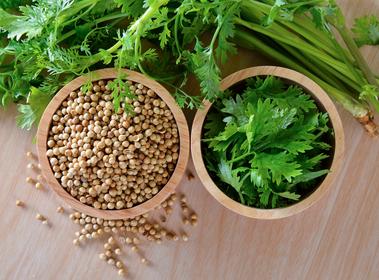 Cilantro & Coriander seeds