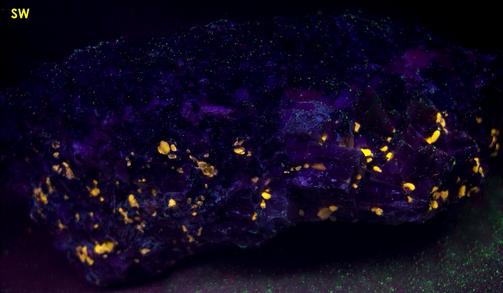 fluorescent WOLLASTONITE, GARNET, PYRITE, DIOPSIDE, black CALCITE - Sterling Mine, Sterling Hill, Ogdensburg, Franklin Mining District, Sussex County, New Jersey, USA