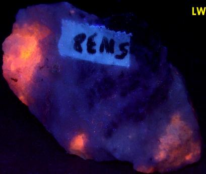 SW LW fluorescent TUGTUPITE, POLYLITHIONITE, AEGIRINE ACMITE - Tasseq Slope - West (Taseq Slopes), Tasseq area, Ilimaussaq complex, Narsaq, Kujalleq (Kitaa Province; West Greenland), Greenland, Denmark
