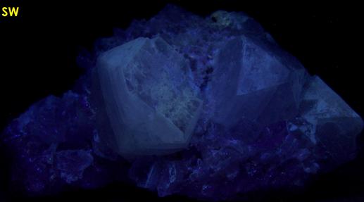 fluorescing FLUORAPOPHYLLITE, QUARTZ, LAUMONTITE - Prospect Park Quarry (Sowerbutt Quarry; Vandermade Quarry; Warren Brothers Quarry), Prospect Park, Passaic County, New Jersey, USA - ex Parker Minerals