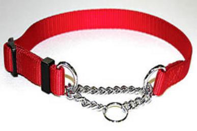 Tender Training Collar with embedded Choker Chain