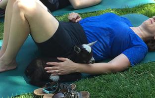 girl with goat during goat yoga