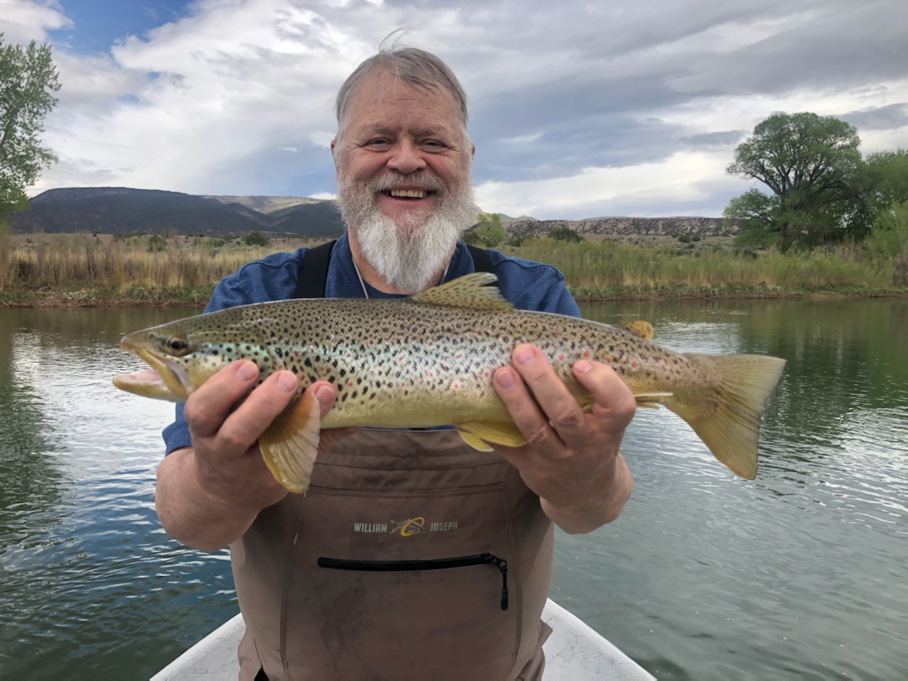 WOMAN FLY-FISHING TROUT ON GREEN RIVER DUTCH JOHN UTAH USA - TopFoto