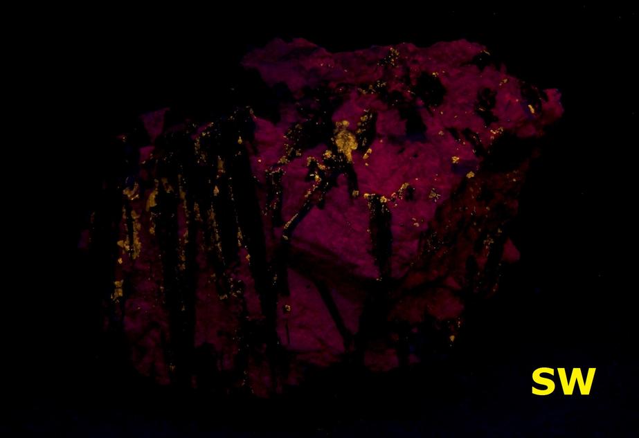ASTROPHYLLITE blades - Hillside Park Claims, Colorado