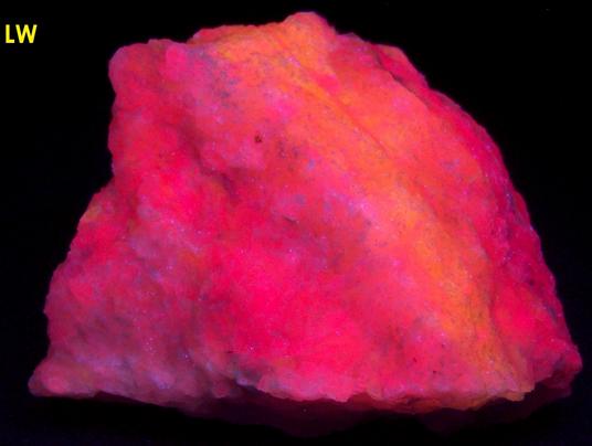 fluorescing SW LW CLINO-SUENOITE, TREMOLITE - International Talc Company Mine No. 8 (Reynolds Mine), Talcville, St.Laurence County, New York, USA