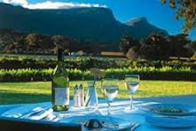 Cape Town Wine Farms