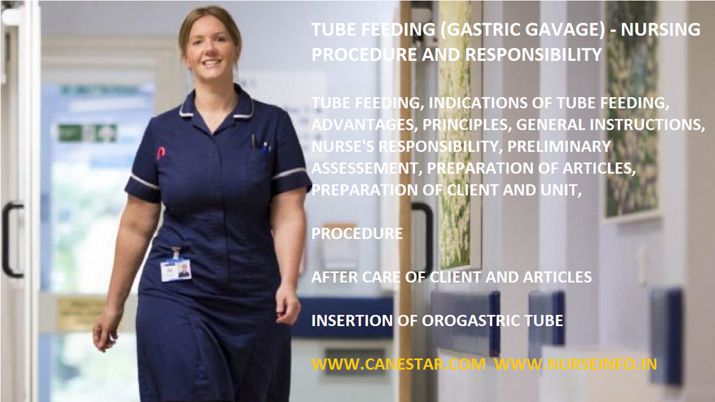 Tube feeding (gastric gavage) - nursing procedure