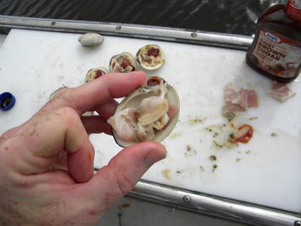 How to make Clams on the barbecue. www.DIYeasycrafts.com