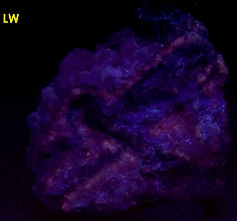 CHABAZITE-Ca, CHALCOPYITE, PYRIE, PYROLUSITE, fluorescent CALCITE - Upper New Street Quarry (Burger's Quarry), Paterson, Passaic County, New Jersey, USA - ex Fred J Parker "Parker Minerals"