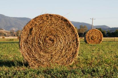 Quality Horse Rolls and Cow Rolls