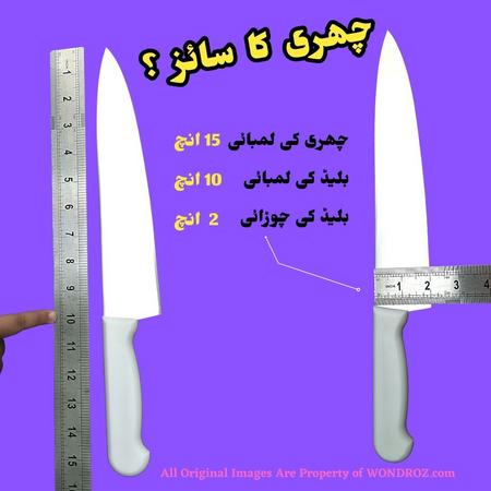 Size Dimensions of Best Culinary Knife in Pakistan